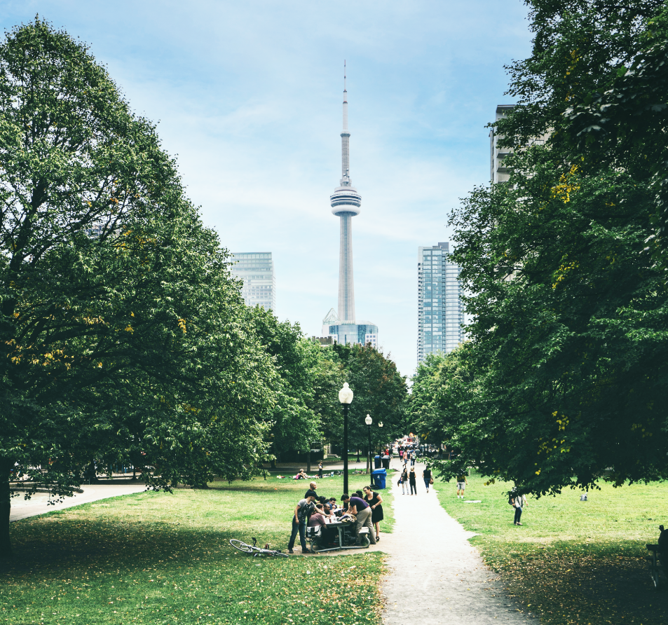 Toronto Skyline from park